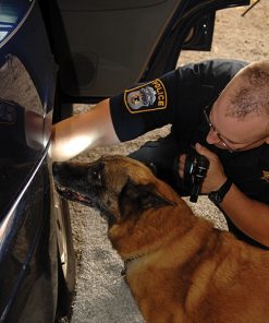 Labrador tactical flashlight law enforcement