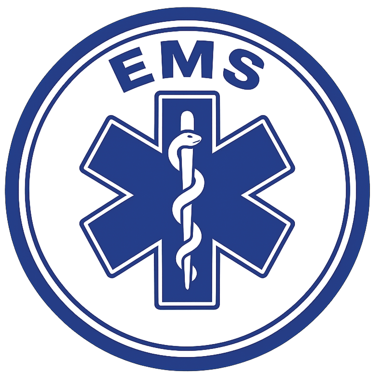 EMS_Icon_300